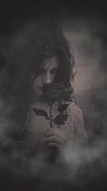 @🖤_butterfly_🖤