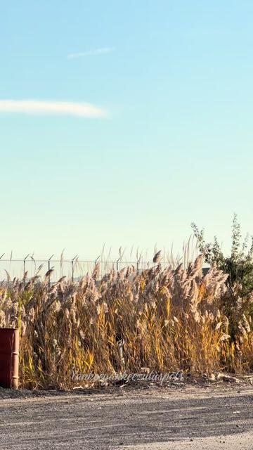 @Airball
