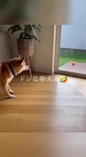 @AI動物園園長