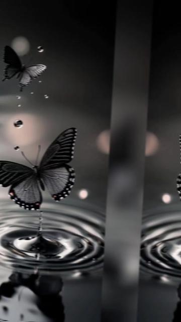 @🎧🕊️🅐︎🅛︎🅞︎🅝︎🅔︎🕊️🎧