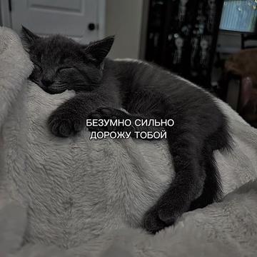 @ХХИКА