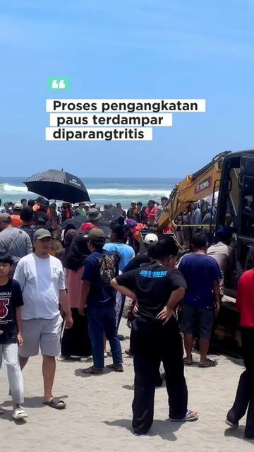 @fotograferjogja6