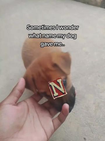 @๐ฆ๐๐๐๐๐ฌ ๐ช