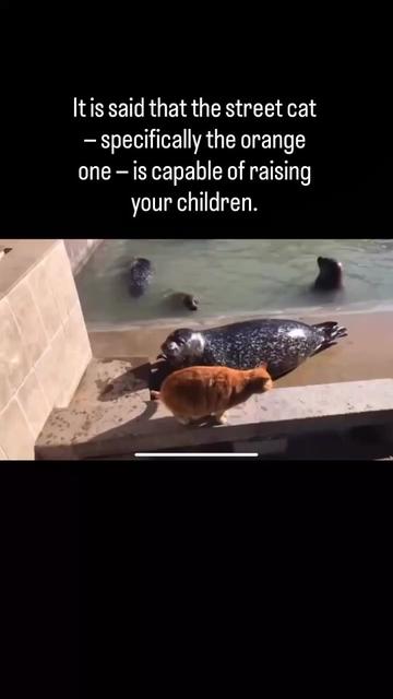 @Moon