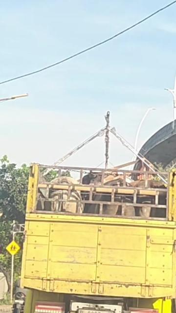 @seputar.info.penting