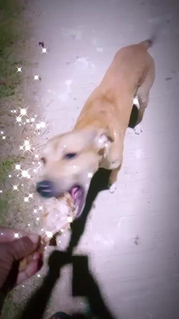 @Rekha Shivram