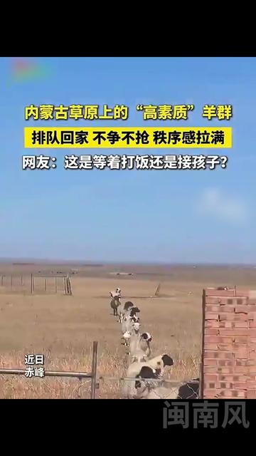 @闽南风~