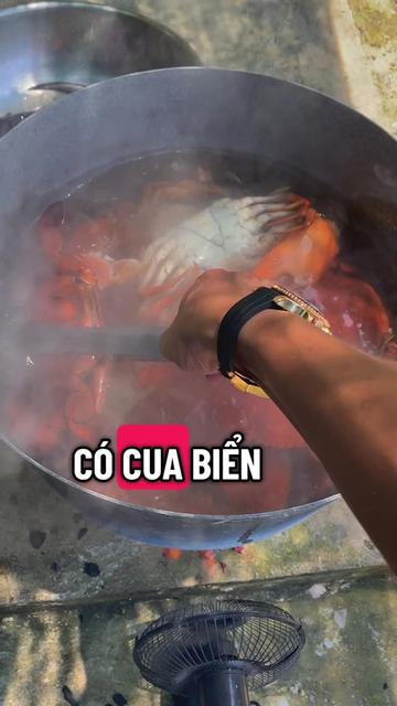 @Tuananh Do