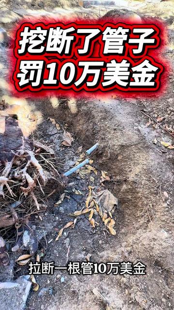 @小馬哥加州ADU新建加建