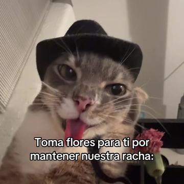 @saulburgosp