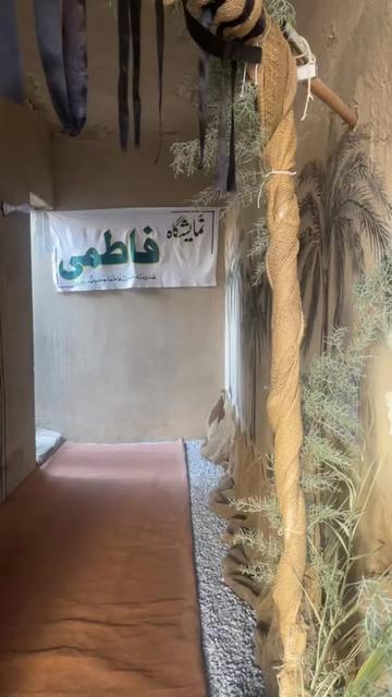 @batooljaffari