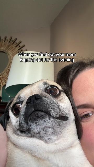 @Shelby