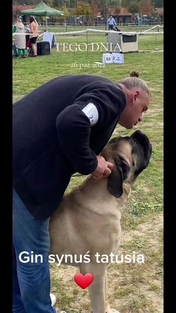 @Animal merwige fci