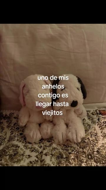 @cris ❄️