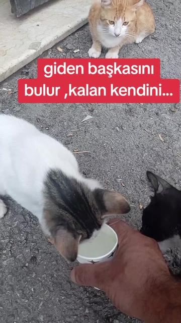 @çamur