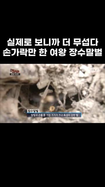 @EBS 다큐