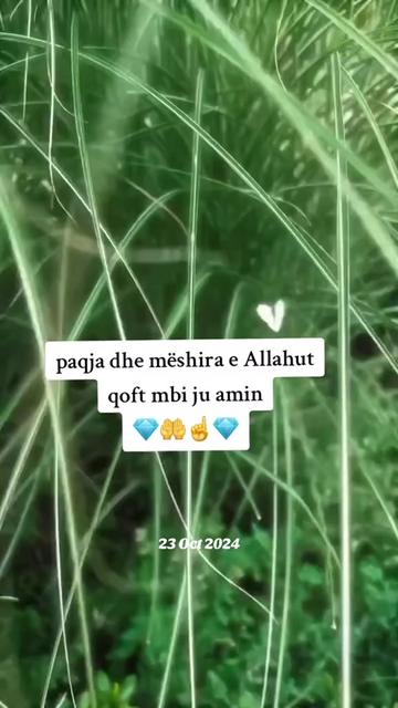 @Islami drit☝️💎.ebu.ensari💎☝️