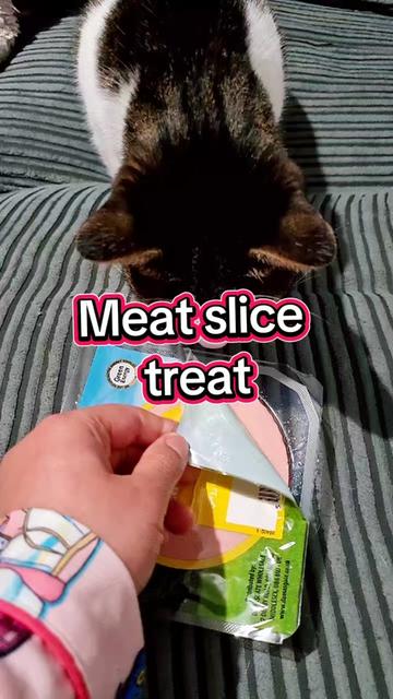 @🦁💚Mehnaz/Bella cat💚🦁