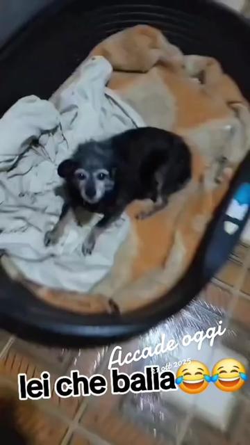 @nancymodica03