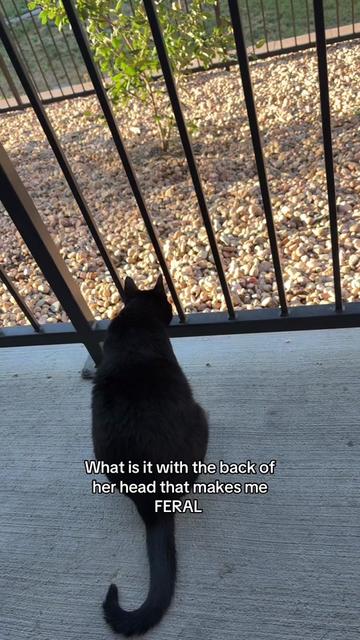 @em