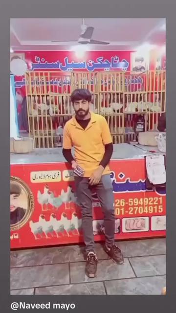 @Naveed Mayo