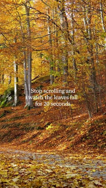 @Calm