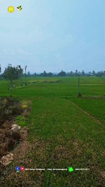 @Putra Balada