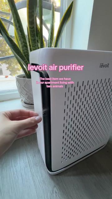 @Peyton l T1D