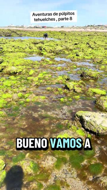 @El flaco