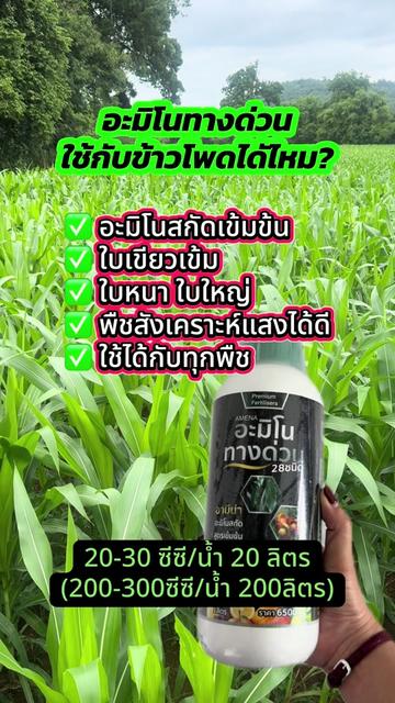 @ชาวสวนที่ชอบขายของ