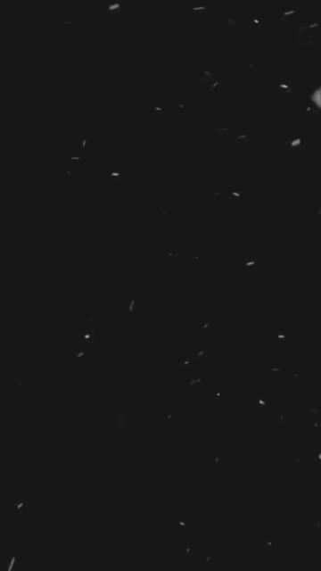 @✨شہباز خان💯