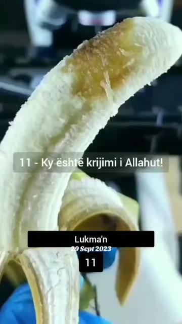 @Islami drit☝️💎.ebu.ensari💎☝️