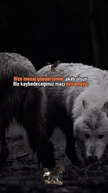 @çılgın 🚴♂️🇹🇷🫡