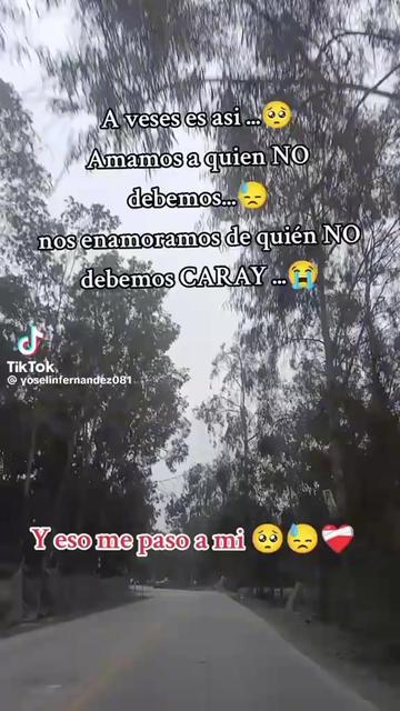 @carmenbenegasmamani