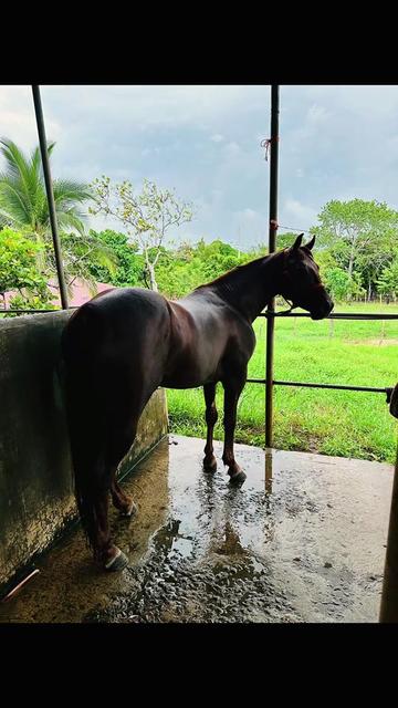 @Victor Manuel Moreno 🇵🇦