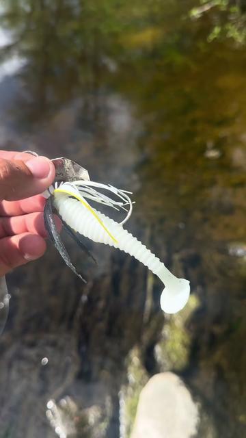 @218 fishing