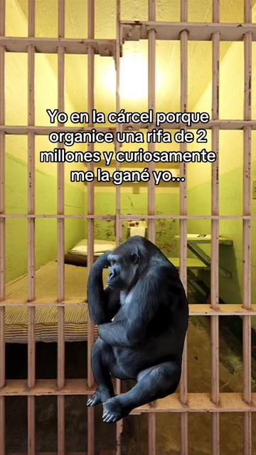 @Alicia Escurra✔️