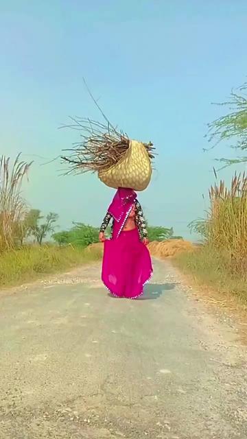 @Anil Sharma🇳🇵