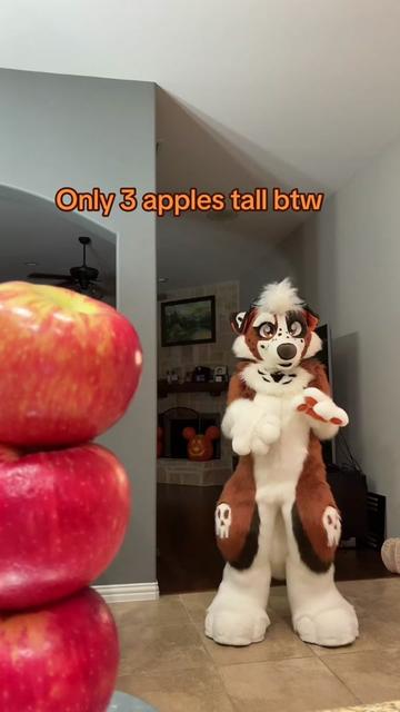 @Reddpawz
