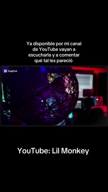@Lil Monkey🎙️