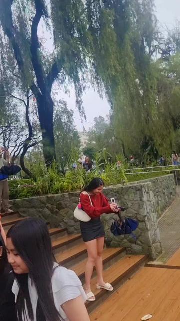 @Rimando baden(Lion Heart)