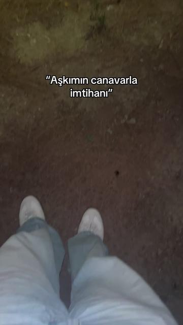 @daniyiuse