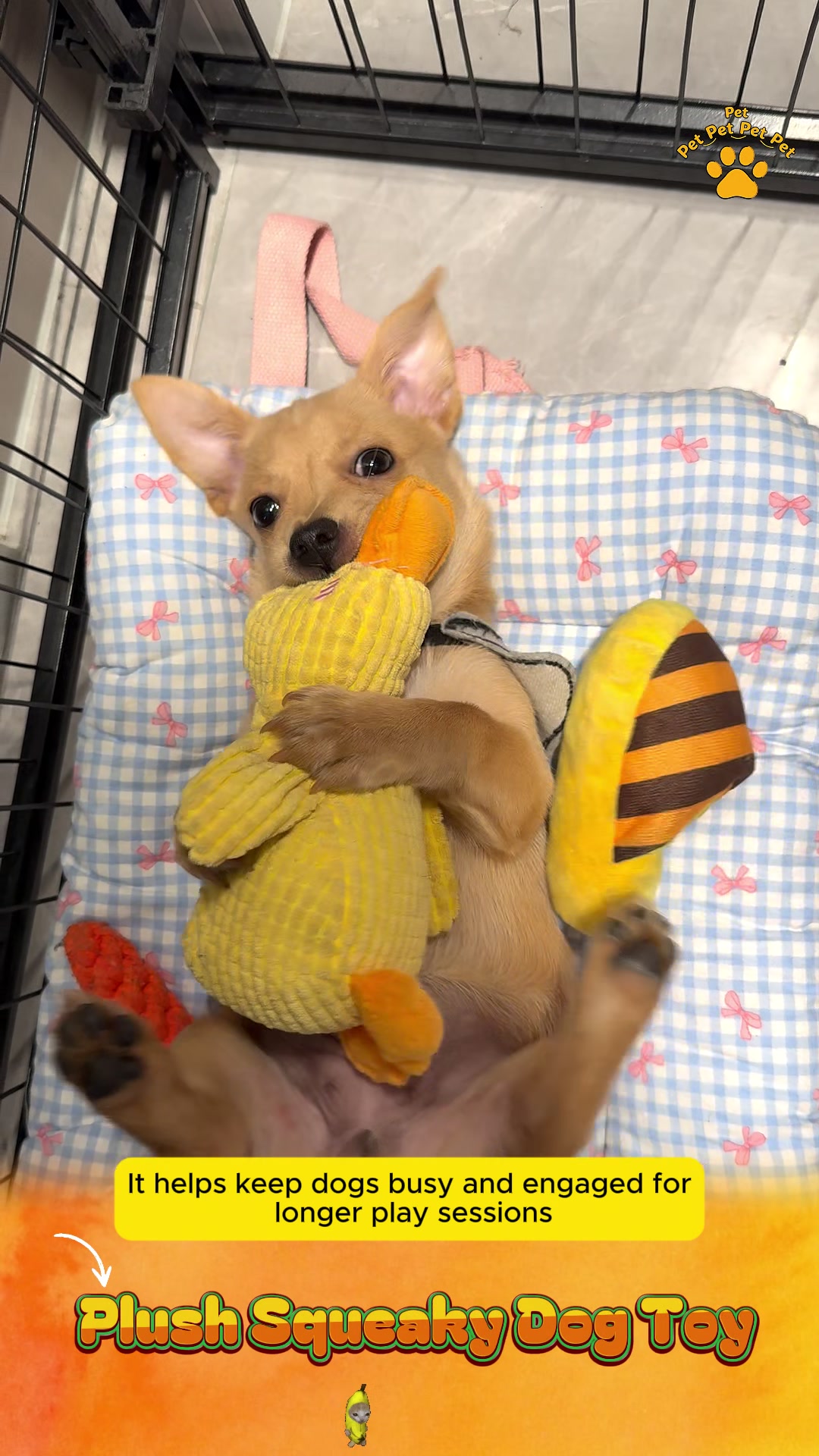 @Pet World Hub