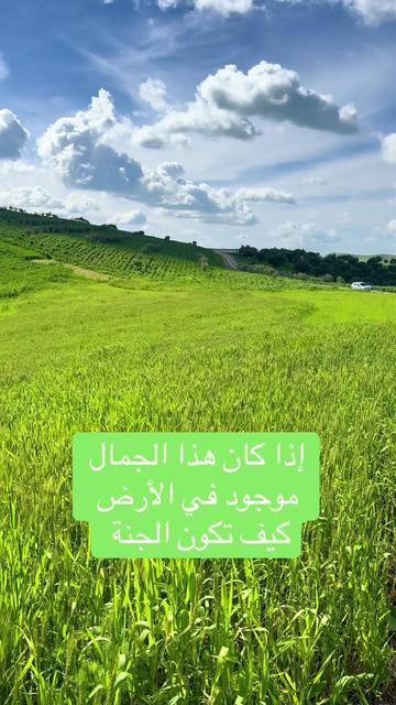 @Hijama.abdelmajid