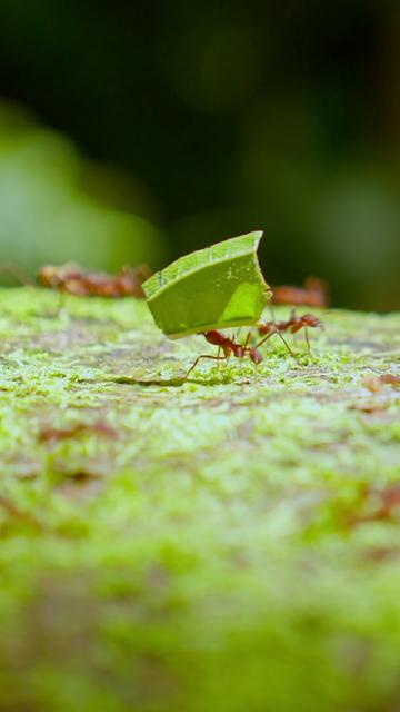 @Kai Meyer | Wildlife Filmmaker
