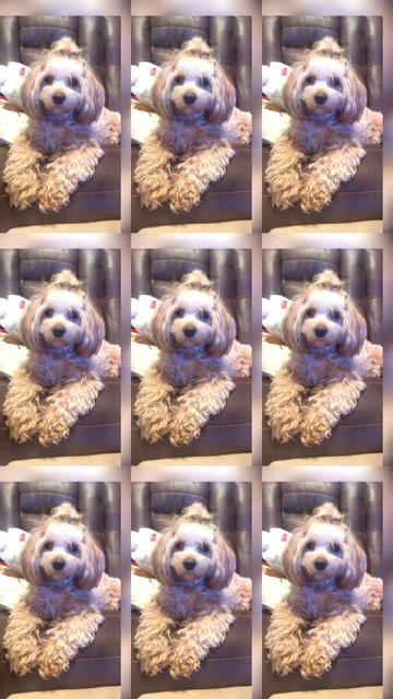@Bomby y princesa🩵🩷