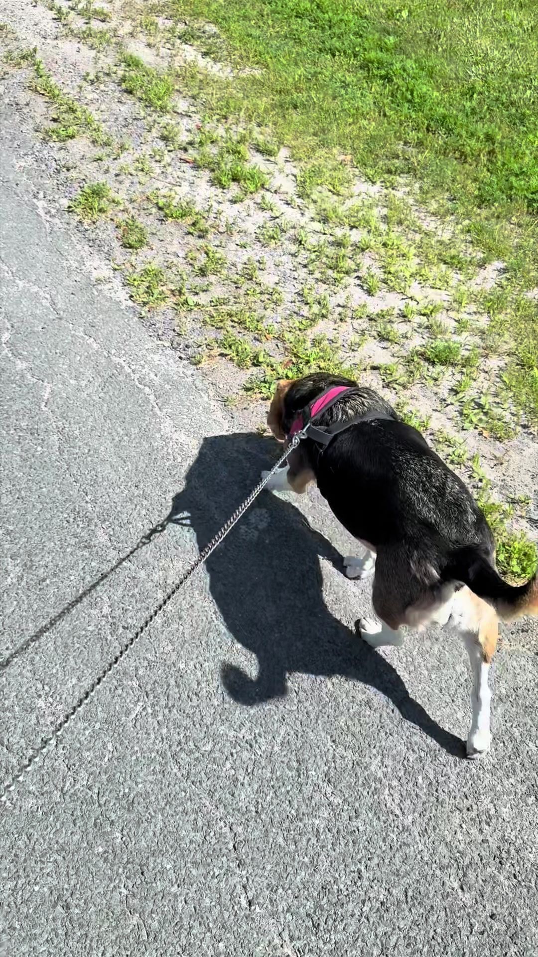 @Bonnie Marie 🇨🇦