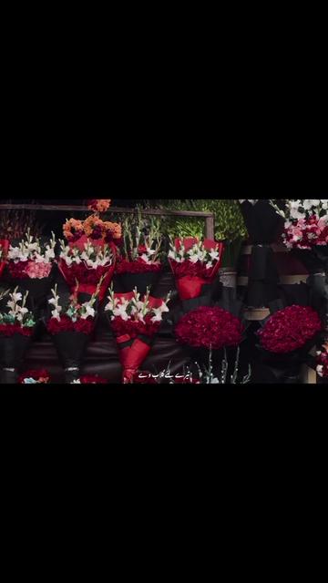 @Maryam Awan ♡
