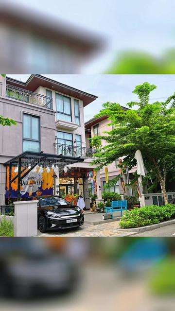 @Phước Lâm Zeitgeist