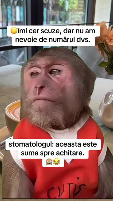 @*ð¢ðªð«ð»ðð€ð²ð©